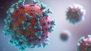 coronavirus has generated immense interest in viruses in general...