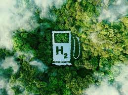 green hydrogen future fuel?