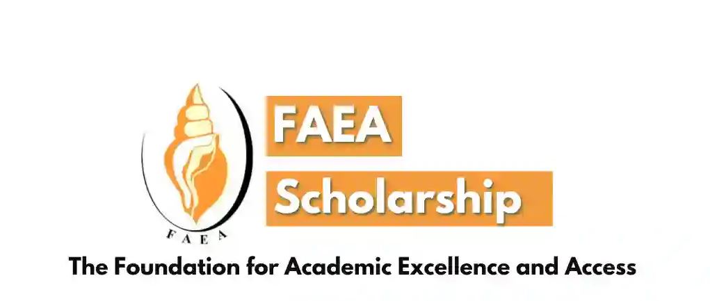 bhel faea scholarships 2014 for undergraduate studies foundation for academic excellence and access (faea)