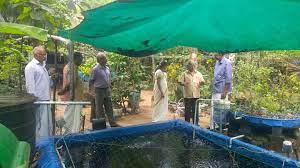 a dialogue with an inspiring aquaponics entrepreneur in thiruvananthapuram