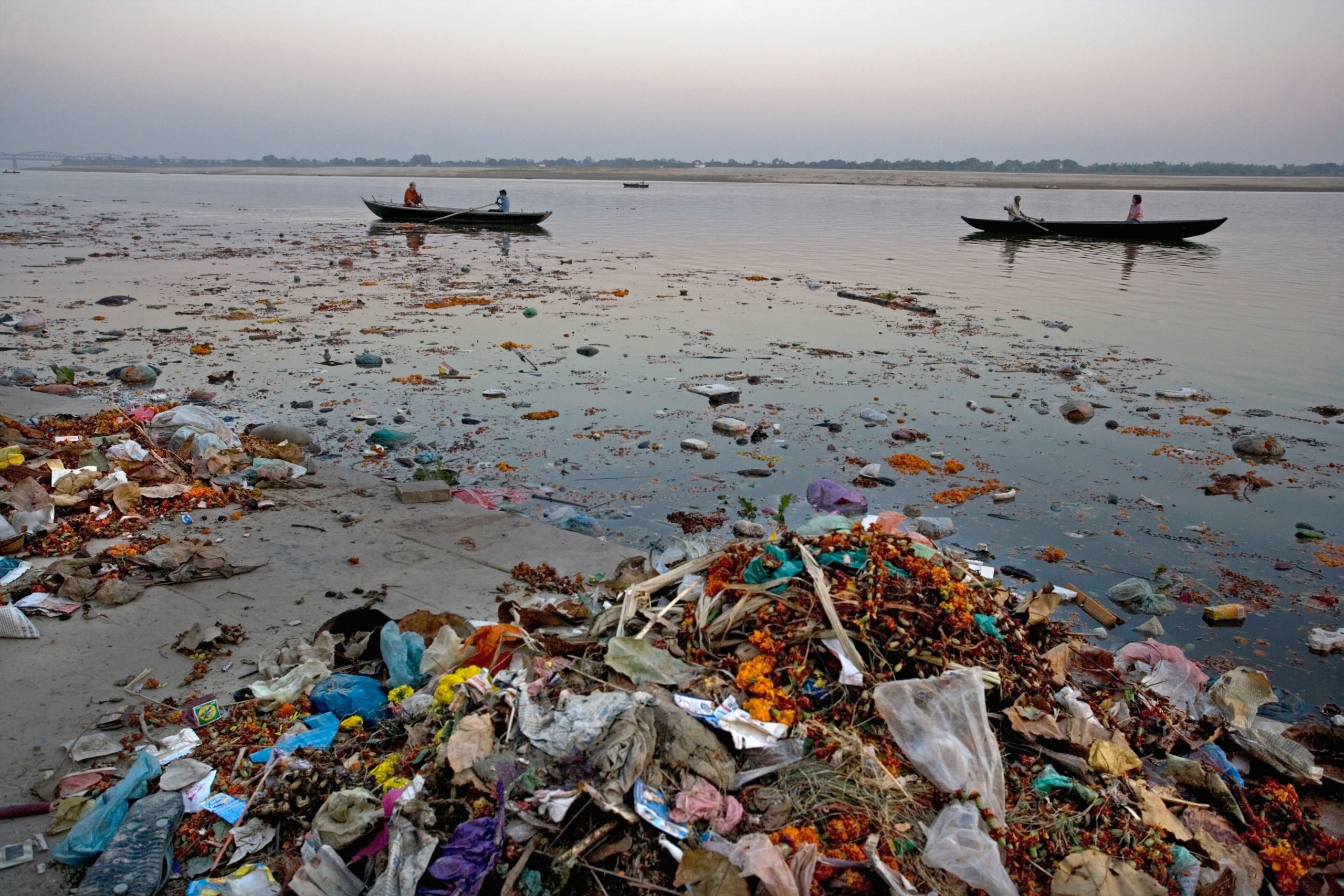 where are our scientists in the ganga plan?