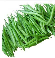 cluster beans easy to grow
