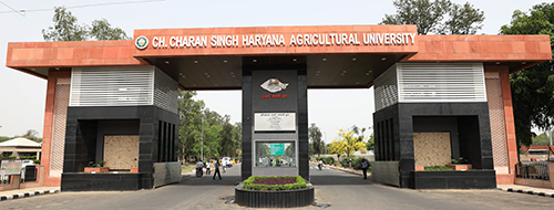 chaudhary charan singh haryana agriculture university, hisar admission 2017