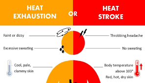 oh! it is too hot... let’s understand heat stress