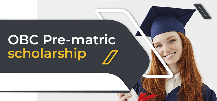 obc pre matric scholarship scheme 2015 for delhi