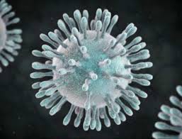 the blitzkrieg of coronavirus insights into the 2019 novel coronavirus (2019-ncov) scenario