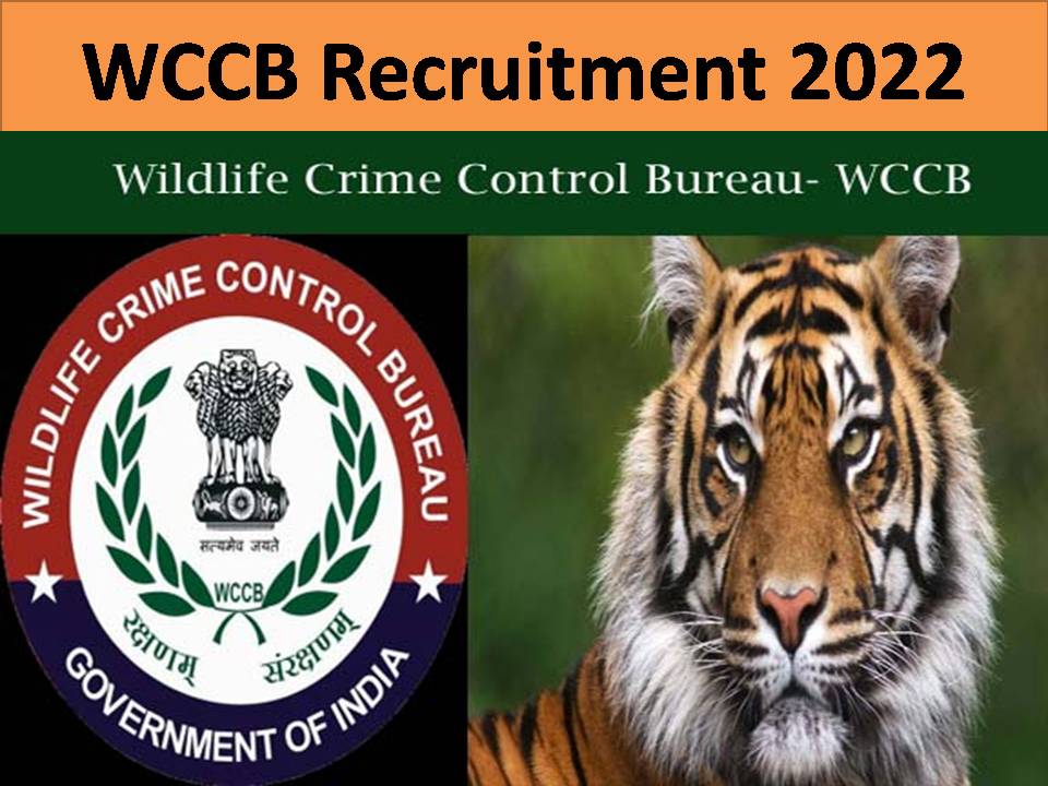 wildlife crime control bureau (wccb) recruitment 2020