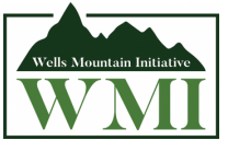 wmf scholarships for developing country students