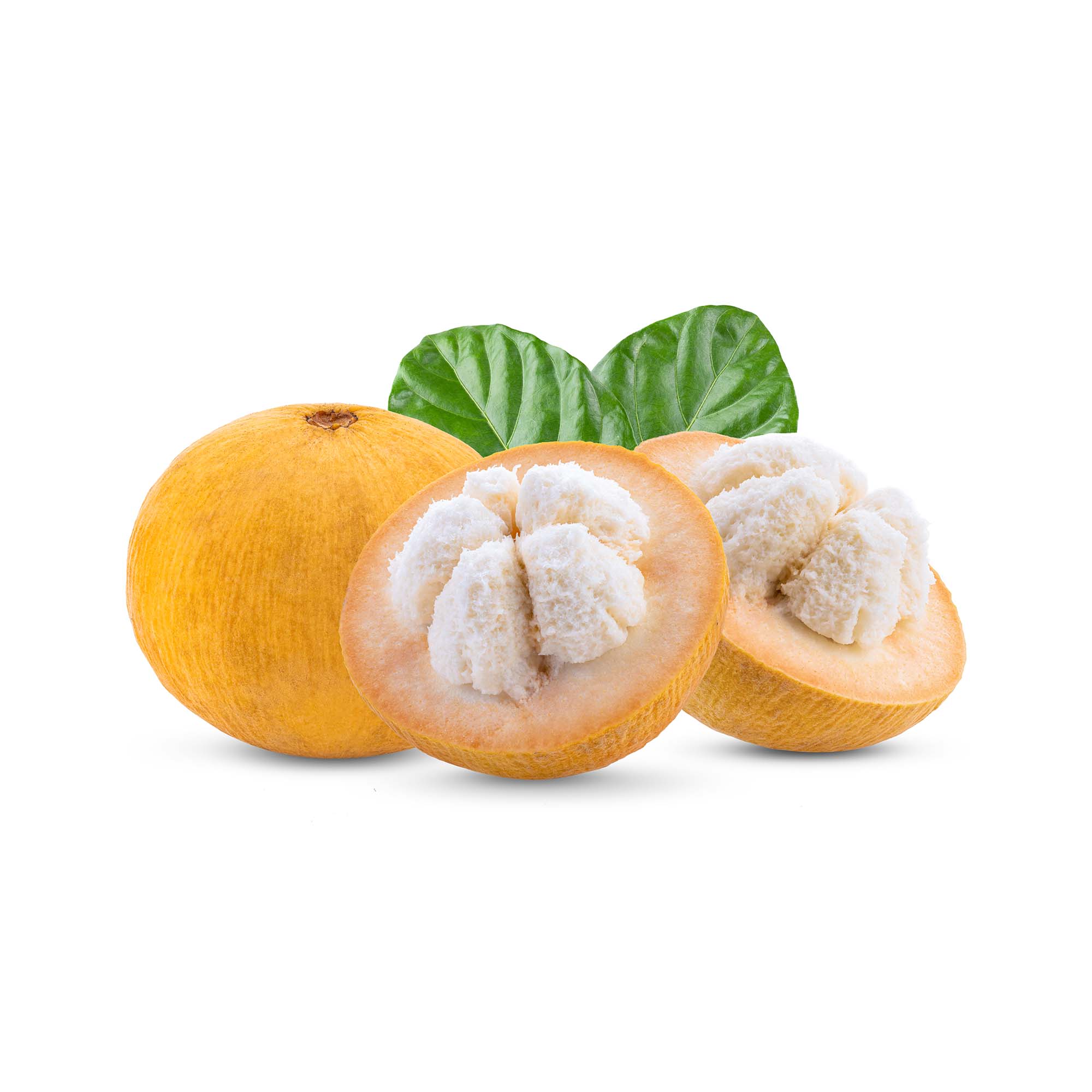 santol the golden apple of the tropics