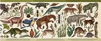 does evolution kick-start into rapid mode to save species?