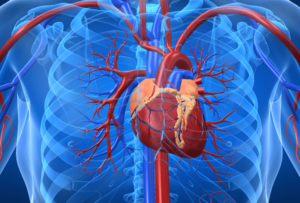 tips to keep away heart diseases