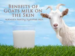 goat milk  nature’s gift