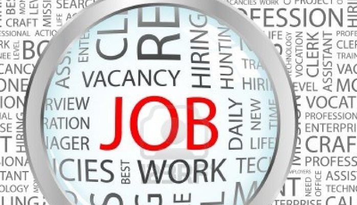 ten lakh new jobs up to 40 per cent salary hike seen in 2015