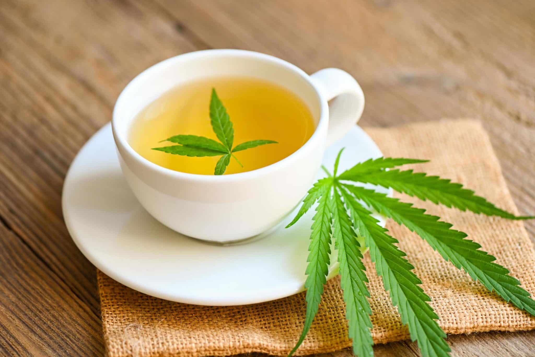 cannabis tea the ancient remedy making a modern comeback