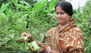 women farmers bring about change